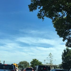 Meet your Posher, Iliana